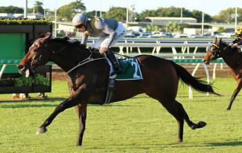 Baller out to improve Flemington record