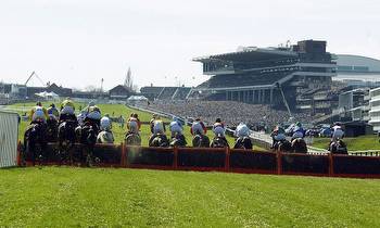 Ballymore Novices' Hurdle: Timeform's runner-by-runner guide