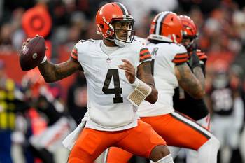 Baltimore Ravens vs Cleveland Browns Odds, Lines, Spread and Picks NFL Week 15