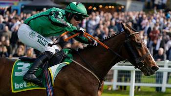 Bargain €850 buy Hewick routs bet365 Gold Cup field for Shark Hanlon