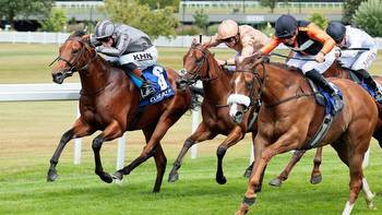 Bargain-buy Raasel made favourite for Group 2 success at Glorious Goodwood