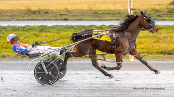 B.C. Breeders Stakes Champions Star At Fraser Downs
