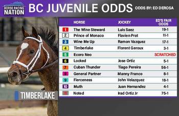 BC Juvenile fair odds: Timberlake is a single in wide-open race