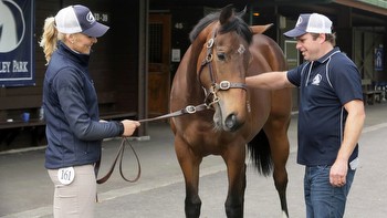 Beatons beat the odds with Tavistock colts at Ready To Run Sale
