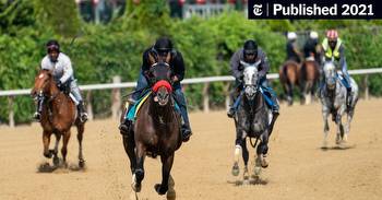 Belmont Odds and Picks: Who Will Win?
