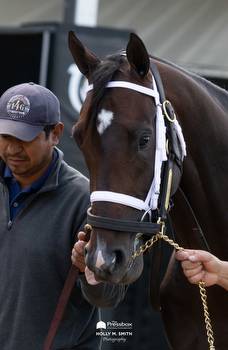 Belmont Park Barn Notes: Forte Gets Breeze In Prep for G1 Belmont Stakes