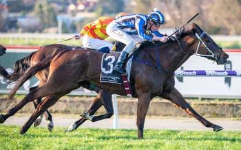 Belmont specialist to target Ascot features