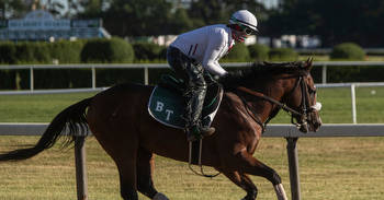Belmont Stakes 2020 Odds, Picks and Predictions