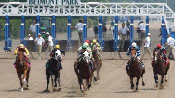 Belmont Stakes 2023 Expert Picks, Top Picks, Longshots, Analysis