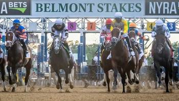 Belmont Stakes 2023: Meet the contenders and watch them run