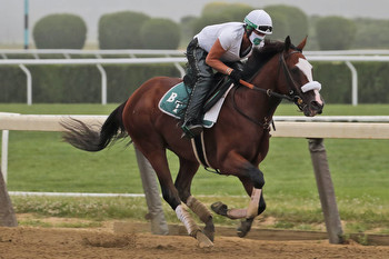 Belmont Stakes horse-by-horse analysis by Las Vegas bookmaker