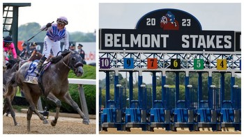 Belmont Stakes Horse Racing To Move To Saratoga For Triple Crown, Will Have Shorter Track