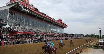 Belmont Stakes Odds & Betting Lines 2023