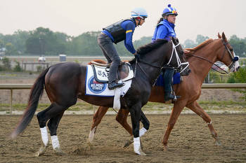 Belmont Stakes odds, horse-by-horse analysis