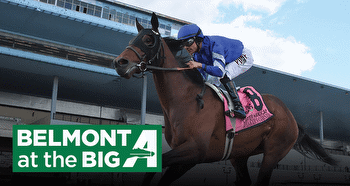 Belmont/Aqueduct Joseph Gimma Friday Stakes Analysis