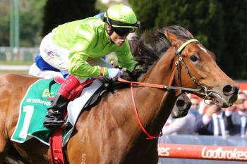 Berkeley Square heads odds in the Victoria Derby at Flemington