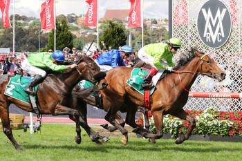 Berkeley Square to the fore in Moonee Valley Vase