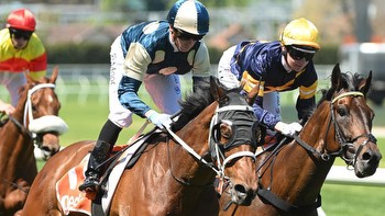 Best bets and expert tips for Champions Day at Flemington