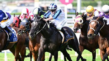 Best bets and expert tips for Newmarket Handicap day at Flemington