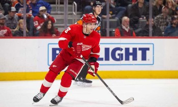 Best Bets for Detroit Red Wings vs. St. Louis Blues (2/24/24)