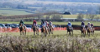 Best bets for Mother's Day point-to-point near Tavistock