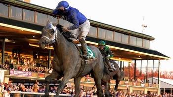 Best bets for Wood Memorial, Santa Anita Derby and Blue Grass Stakes