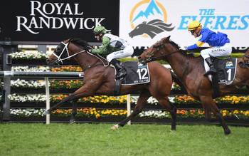 Best Betting Sites and Apps to Bet on The Everest day at Randwick Races