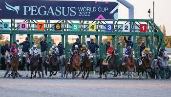 Best Florida Horse Racing Betting Sites