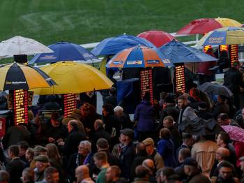 Best free bets for Cheltenham: Which bookies have best offers?