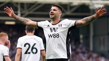 Best Fulham Blogs to Follow For The 2023/24 Season