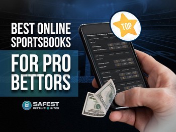 Best Online Sportsbooks for Pro Bettors