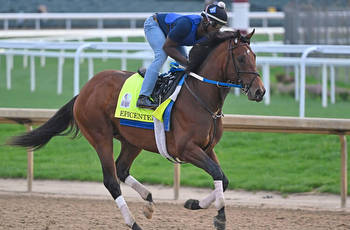 Best Trifecta, Superfecta, Exacta Picks for Preakness Stakes 2022