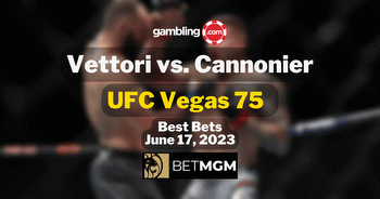 Best UFC Predictions for UFC Vegas 75: Vettori vs. Cannonier
