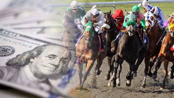 Bet On The Breeders Cup In ANY US State With The 5 Best Offshore Sportsbooks
