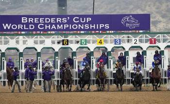 Bet On The Breeders Cup In CA