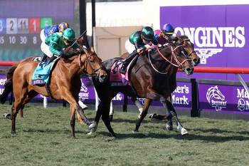 Bet On The Breeders Cup In VA