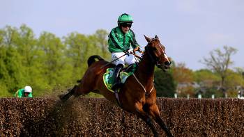 Bet365 Gold Cup: Shark Hanlon strikes with £800 buy Hewick