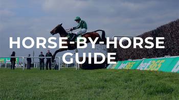 bet365 Gold Cup tips: Horse-by-horse preview for Sandown feature