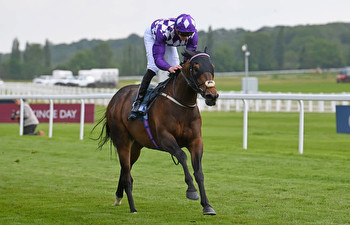 Betfair Sprint Cup: Shaquille headlines 23 in contention