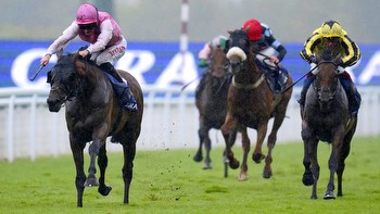 Betfred Doncaster Cup: Trueshan ready to return