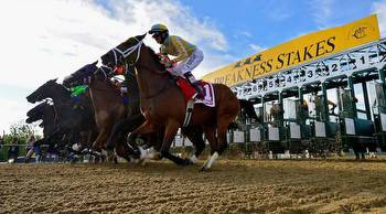 BetOnline Preakness Stakes Betting Offer: $1000 Horse Racing Free Bet