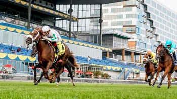Betting an International Invader in Woodbine's Natalma Stakes