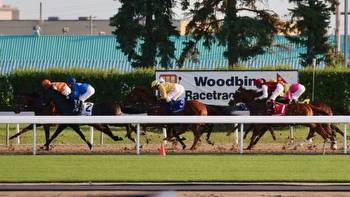 Betting an Up-and-Comer in the Queenston Stakes at Woodbine
