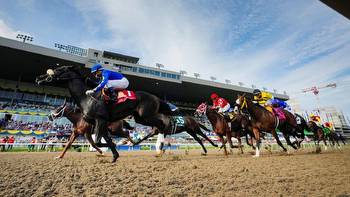 Betting beyond the track: How Canadian casino culture and horse racing converge