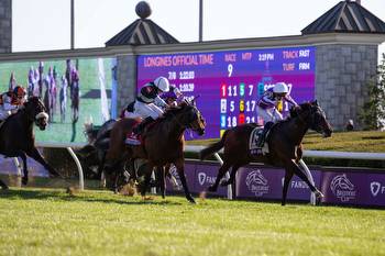 Betting Firm Entain Invests $545M In New Zealand Horse Racing