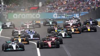 BETTING GUIDE: Who are the favourites as F1 heads to Hungary?