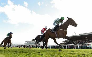Betting offer for Punchestown: Bet £10, get £20 in horse racing free bets