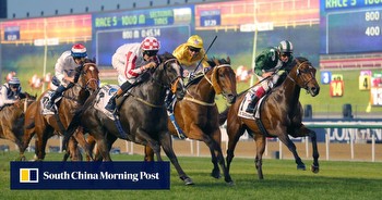 Betting on the Dubai World Cup meeting? The Griffin's best bets, by region