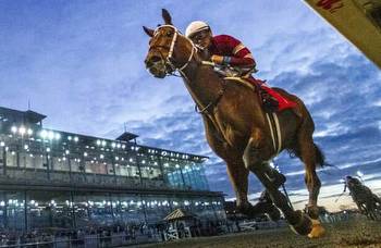Betting the 2022 Kentucky Derby Future Wager Pool 2