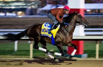 Betting the Breeders' Cup Classic: Fair odds on 56 exacta combos